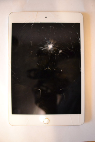 Apple ipad mini - apple,
